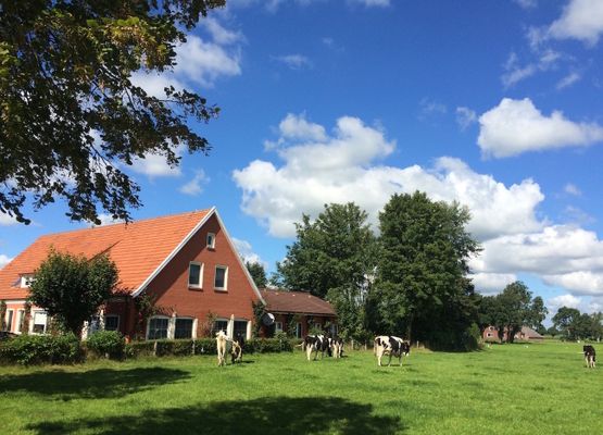 Villa für 10 Personen in Ostfriesland mit Kino, Bar, Sauna und Whirlpool