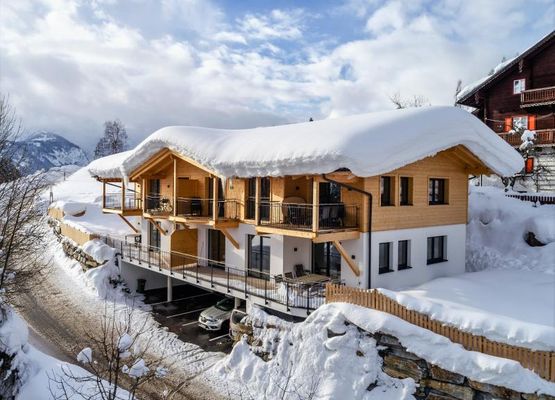 Holidayhome with a splendid mountain view