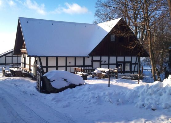 Lovely Holiday Home in Vellinghausen near Ski Area