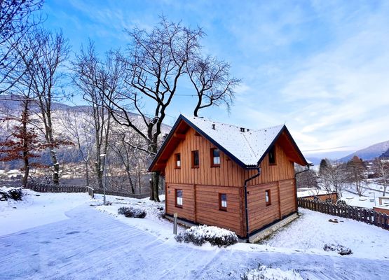 Holiday home Berghof (LKN151)